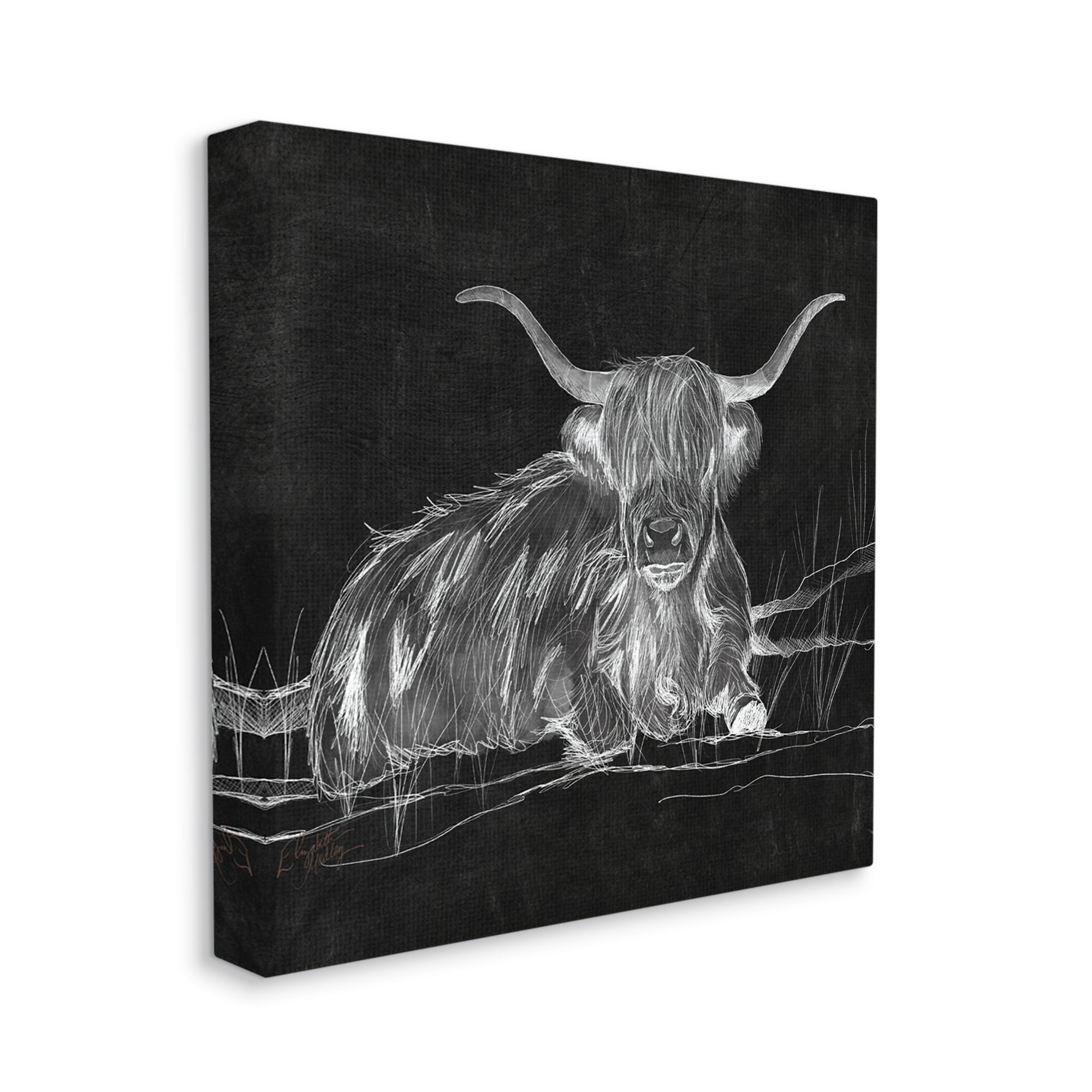 Stupell Industries Contemporary Highland Cattle Laying Negative Drawing Graphic Art Gallery Wrapped Canvas Print Wall Art, Design by Elizabeth Medley