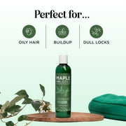 Clarifying Shampoo for Oily Hair and Scalp - Degrease Deep Cleansing Shampoo Build Up Remover with Rosemary Oil for Greasy Hair & Scalp - Vegan Color Safe Sulfate Paraben & Cruelty Free (8 Fl Oz)