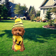 thumbnail image 4 of Apuakthei Ropa para mascotas suéter cachorro mascota perro gato invierno cálido disfraz 6 unids/set rayas punto gorro calcetines bufanda, 4 of 5
