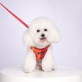 thumbnail image 2 of No Pull Dog Harness, Adjustable Reflective Dog Harness and Leash Set for Small and Medium Sized Dogs, Red Vest Harness for Dog Walking Outdoor Trips, 1 Pack, 2 of 3
