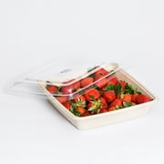 Sabert TerraPac 48 oz. Deep Square, Pulp Fiber Food Container, Eco-Friendly Composatable | 300/Case