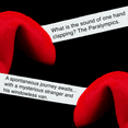 thumbnail image 5 of Miss Fortunes - Fortunes Against Humanity - Funny Fortune Cookies - Offend Someone You Love Today! - Written by Professional Comedy Writers  (12) Black Fortune Cookies, 5 of 7