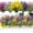 Color A, variant on 20 Bundles Artificial Flowers Outdoor UV Resistant No Fade Shrubs for Garden Patio Porch Window Box Home Wedding Farmhouse Hanging Décor