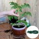 thumbnail image 4 of KAKOWELY 20Ud Abrazadera Plástica Para Jardín Soporte Para Plantas Y Bonsáis Reutilizable, 4 of 8
