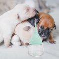 thumbnail image 4 of YSNOOWE Botella Para Cachorros Y Pequeños Con Silicona Portátil Y, 4 of 8
