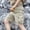 Khaki, variant on Men's 100% Cotton Cargo Shorts Workwear Multi Pocket Shorts Elastic Belt Relaxed Fit Casual Summer Hiking Shorts Big and Tall Size XS-3XL Khaki