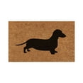 thumbnail image 2 of Funny Dog Mat Decorative Door Mat Bathroom Welcome Mat Door Mat Floor Mat Polyester Carpet,C,Polyester, 2 of 7