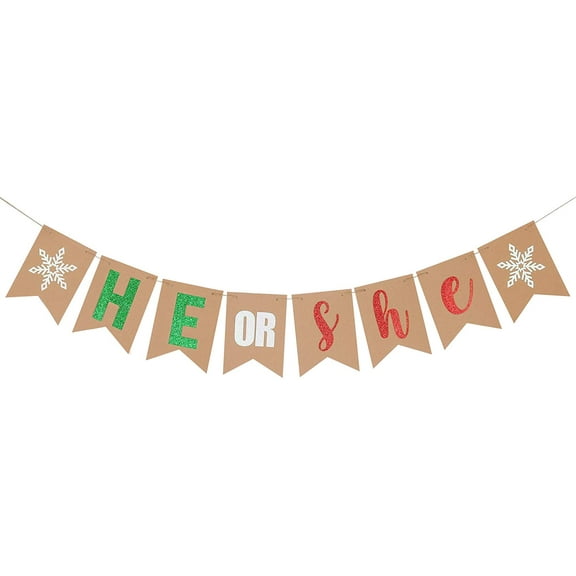Christmas He Or She Banner Christmas Gender Reveal Banner Winter Wonderland Baby Shower Banner for Christmas Winter Wonderland Gender Reveal Party Decorations