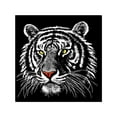thumbnail image 1 of enqiretly Colorful Animal Diamond Painting Kits Rhinestone Wall Decoration Embroidery Cross Stitch Arts Craft, 1 of 8