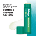 thumbnail image 4 of Blistex® Mint Lip Balm Sunscreen / Lip Protectant, 4 of 4