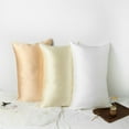 thumbnail image 4 of Luxury Pure Mulberry Silk Pillowcase 32 Momme Drape Collection Neutrals, 4 of 7