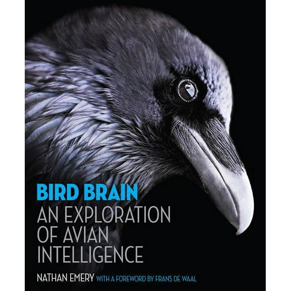 Bird Brain: An Exploration of Avian Intelligence, (Hardcover)