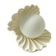 thumbnail image 1 of Lámpara de cerámica Yuyangstore Luz de noche Shell Pearl Beige, 1 of 8
