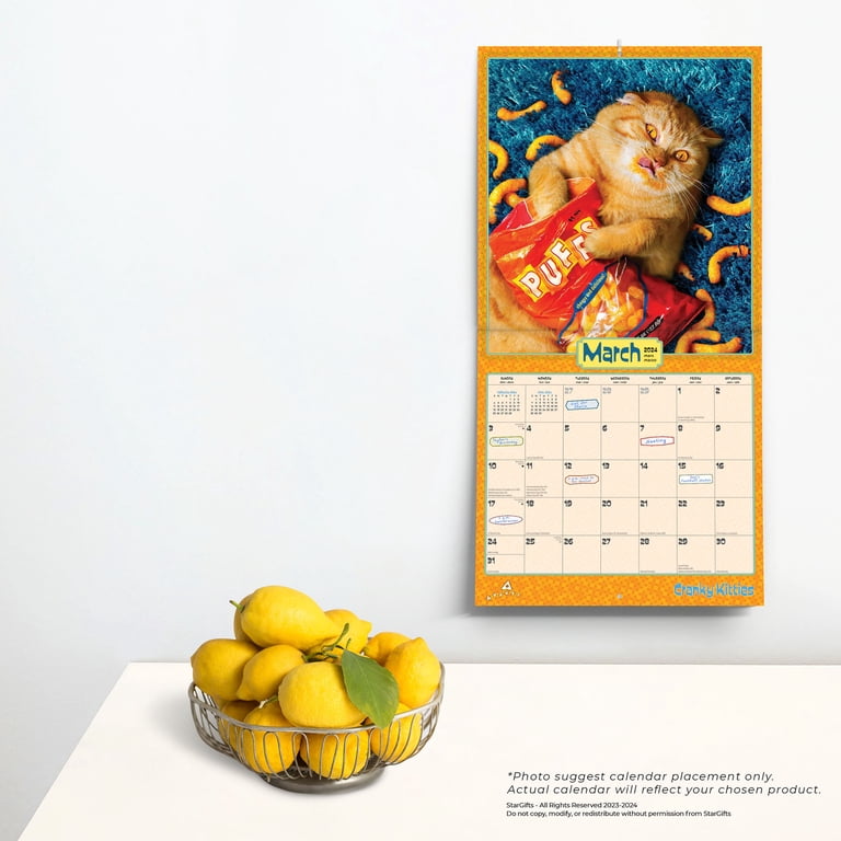 Avanti Cranky Kitties | 2024 12x24" (Hanging) Wall Calendar | StarGifts -  Walmart.com