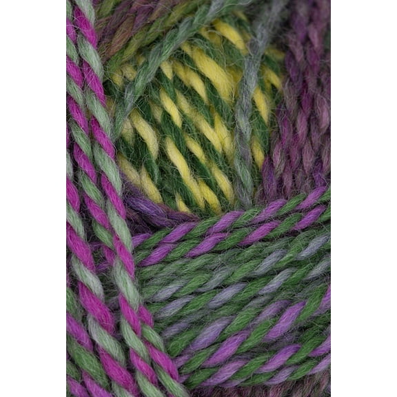Schoppel Wolle - Edition 3 Knitting Yarn - Neighbors Garden (# 2474)