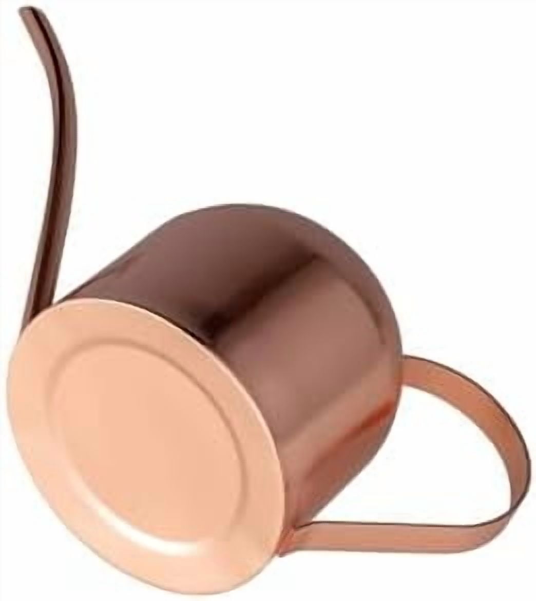 Indoor Watering Can for House Plants 33oz/1L Stainless Steel Watering Can with Long Spout (Rose Gold)