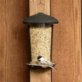 thumbnail image 5 of Perky-Pet Black Wall and Post Mount Wild Bird Feeder - 1.1 lb, 5 of 8