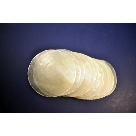 Capiz Shell - 25 Capiz Shells White Round Cut 2