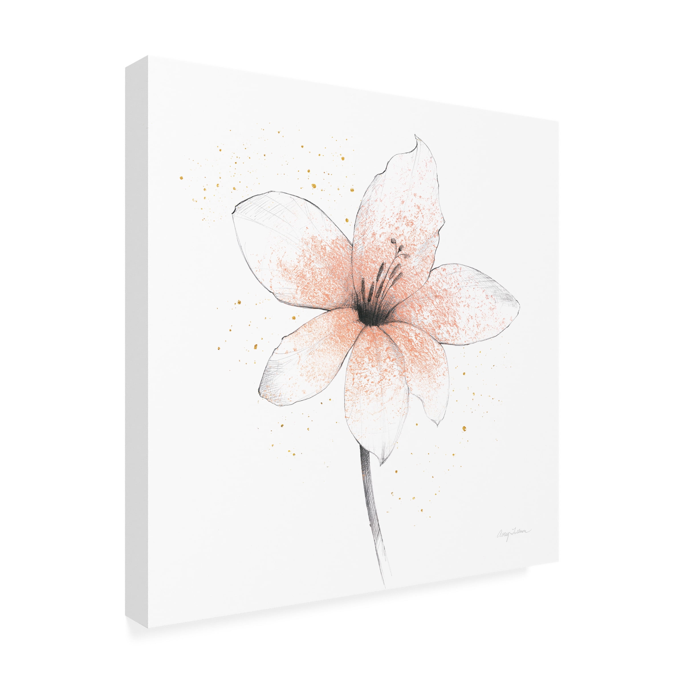 Avery Tillmon 'Coral Graphite Flower II' Canvas Art