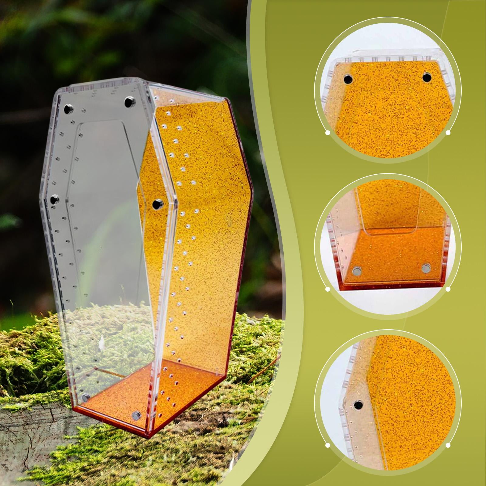 Fzaqwen -shaped Acrylic Terrarium for Jumping Spiders, Tarantulas, And Amphibians. Ventilation And Habitat for Amphibians. Ideal for Crabs. Orange
