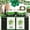 B, variant on St Patricks Day Kitchen Dish Tea Towel Decoration, Decorative Bathroom Hand Decor, Holiday Shamrock Gnomes Bath Towels, Spring Winter Green Home Decor, Saint Patrick's Day Paddy's Day Paddys
