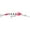 Glow Pink Squirrel, variant on Rapala TDD11PTU 0.75 oz. Deep Tail Dancer, Pink Tiger UV - 4.38 in.