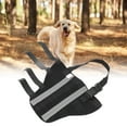 thumbnail image 4 of Dog Hind Leg Brace, Puppy Rear Leg Protector Comfortable Neoprene Material  For Surgery Recovery M, 4 of 8