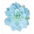 thumbnail image 3 of Agave Duvet Cover Sets, Polygonal Botanical Blossom with Pointy Petals on Plain Backdrop, Bedding Set with 2 Duvet Covers & 4 Pillowcases, 2 Pack Cal King Size, White Pale Sky Blue, by Ambesonne, 3 of 3