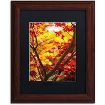 Trademark Fine Art "Morning Jive" Canvas Art by Philippe Sainte-Laudy Black Matte, Wood Frame