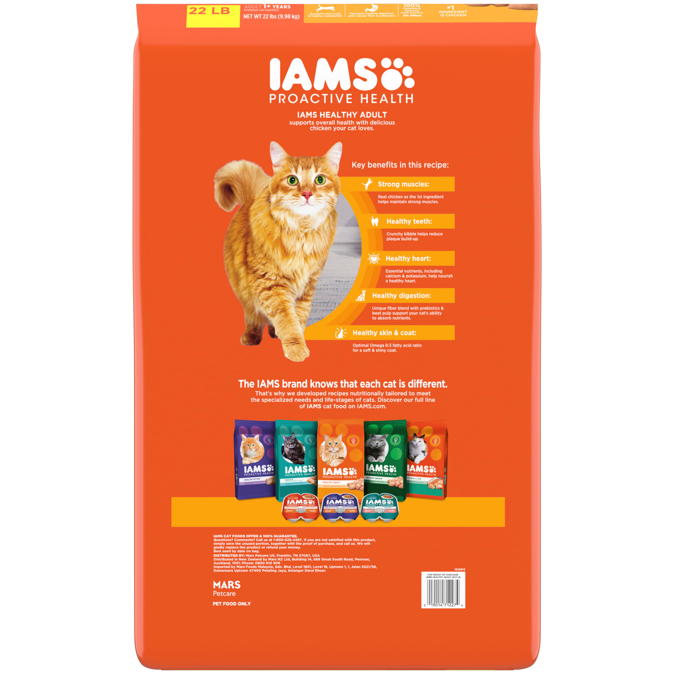 Iams Proactive Health Dry Cat Food Chicken photo 2