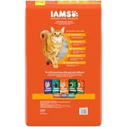 (2 pack) Iams Proactive Health Chicken Flavor Dry Cat Food, 22 Lb Bag