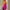 Orange, variant on Aobny Black Ladies Spring Dresses Elegant Office Shirt Dress Color Block Long Sleeve Collared Casual Dresses