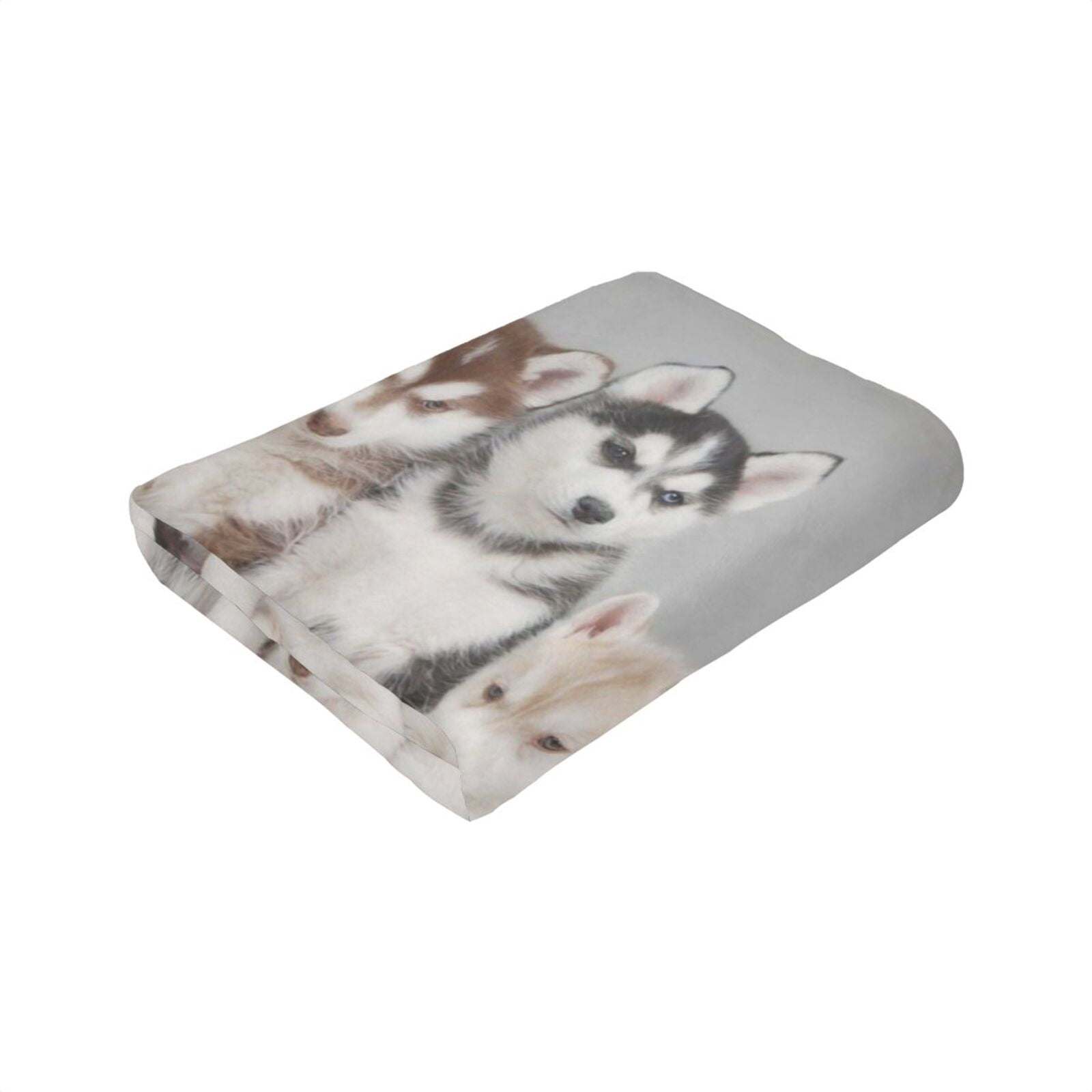 Wijzvio Husky Puppies Dogs Throw Blanket Soft Fuzzy Fleece Blanket For Couch Bed Living Room Decoration 60"X50"