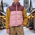 thumbnail image 3 of Agkizg Boys Girls Colorblock Stand Collar Quilted Vests Zip Up Sleeveless Puffer Jacket with Pockets Warm Layerable Outerwear, 3 of 6