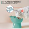 thumbnail image 3 of Cuencos elevados de cerámica para gatos, cuenco inclinado para comida y agua para gatos para proteger la columna vertebral, 3 of 5