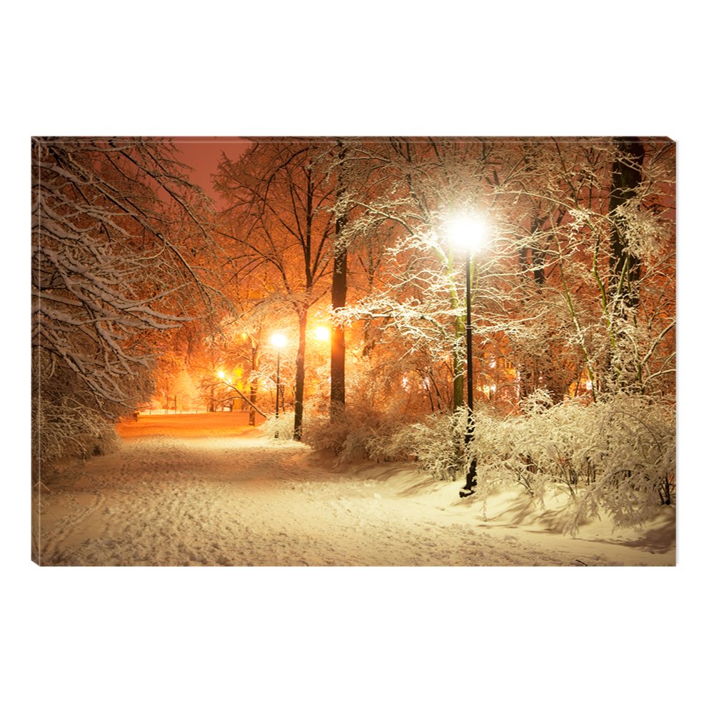 Startonight Canvas Wall Art Winter in Park, Illuminated Landscape