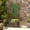 Carbonized, variant on Outsunny Raised Garden Bed, Wooden Planter with Trellis for Vine Climbing