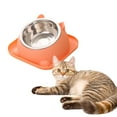 HPDL Fun Shaped Anti Tipping Cat Bowl With Added Water to Prevent Ants