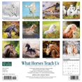 thumbnail image 2 of What Horses Teach Us 2023 Wall Calendar (Other), 2 of 4