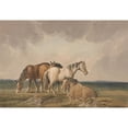 thumbnail image 3 of Thomas Creswick 18x14 Black Modern Framed Museum Art Print Titled - Four Ponies on a Welsh Moor, 3 of 5