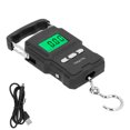 thumbnail image 2 of Balance Portable, 75kg USB Rechargeable Balance Express Technologie de Pointe, 2 of 7