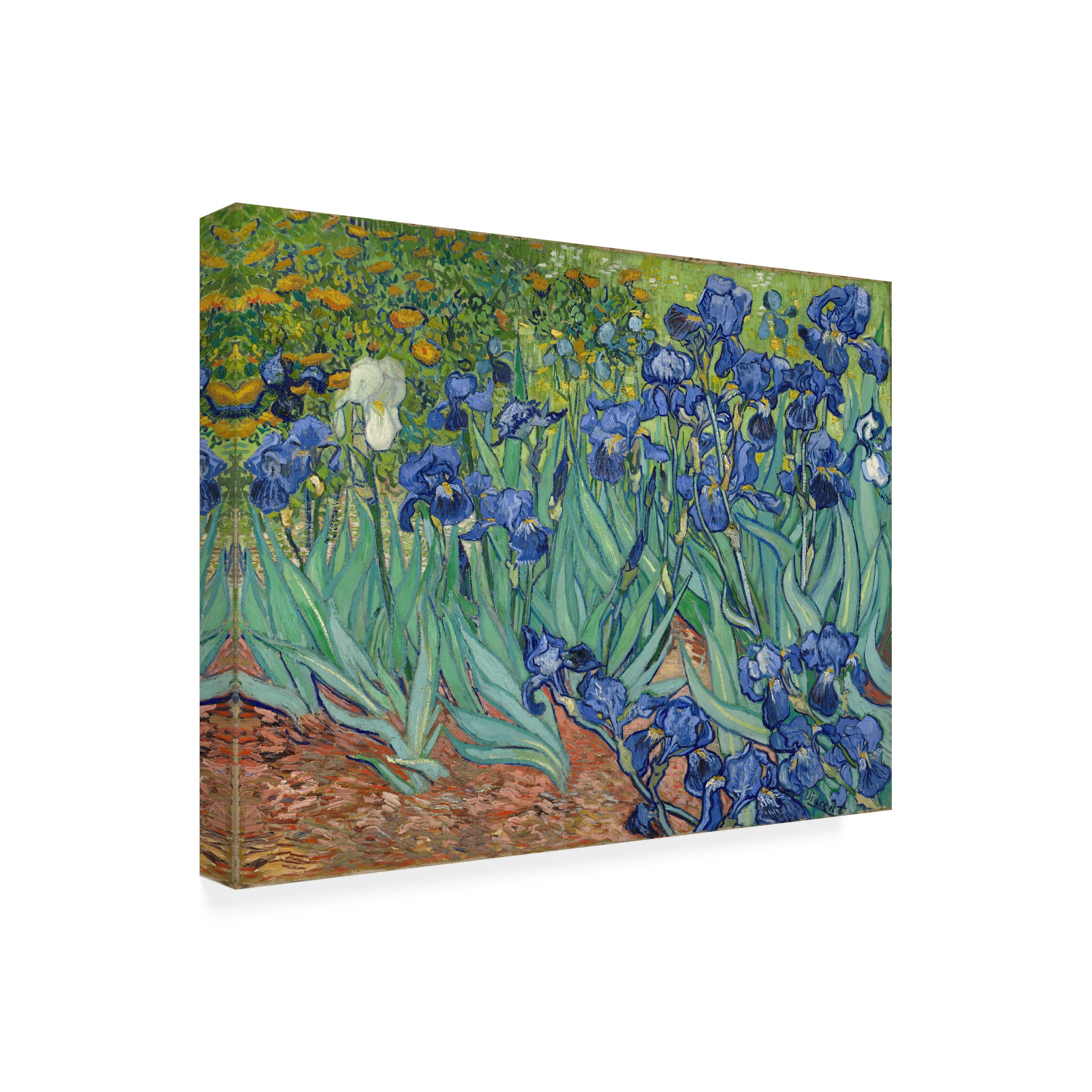 Vincent van Gogh 'Irises, 1889' Outdoor All-Weather Wall Decor