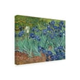 thumbnail image 2 of Vincent van Gogh 'Irises, 1889' Outdoor All-Weather Wall Decor, 2 of 3