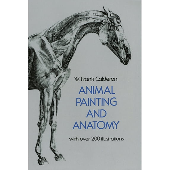 Pre-Owned Animal Painting and Anatomy (Paperback) 0486225232 9780486225234