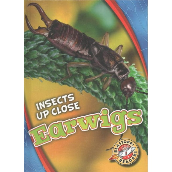 Insects Up Close: Earwigs (Hardcover)