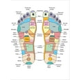 thumbnail image 2 of Art.com Reflexology Foot Map, Artwork Stretched Canvas Print Wall Art by Peter Gardiner, 18" x 24", 2 of 4