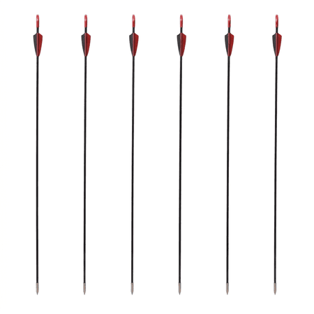 ROSEXIXI (6 Pack) 31.5 Fiberglass Archery Arrows 6mm for Adults Beginners Outdoor Target Shooting