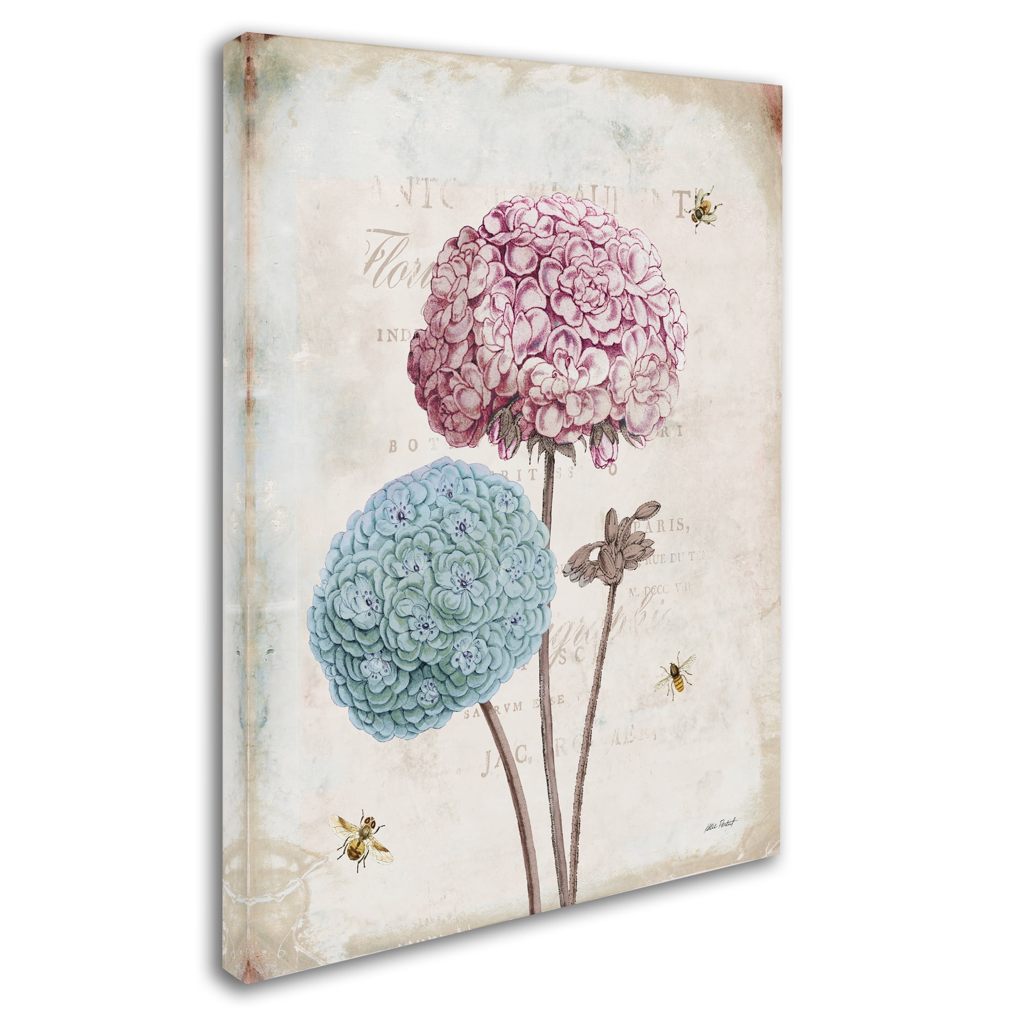 Trademark Fine Art 'Geranium Study II Pink Flower' Canvas Art by Katie Pertiet