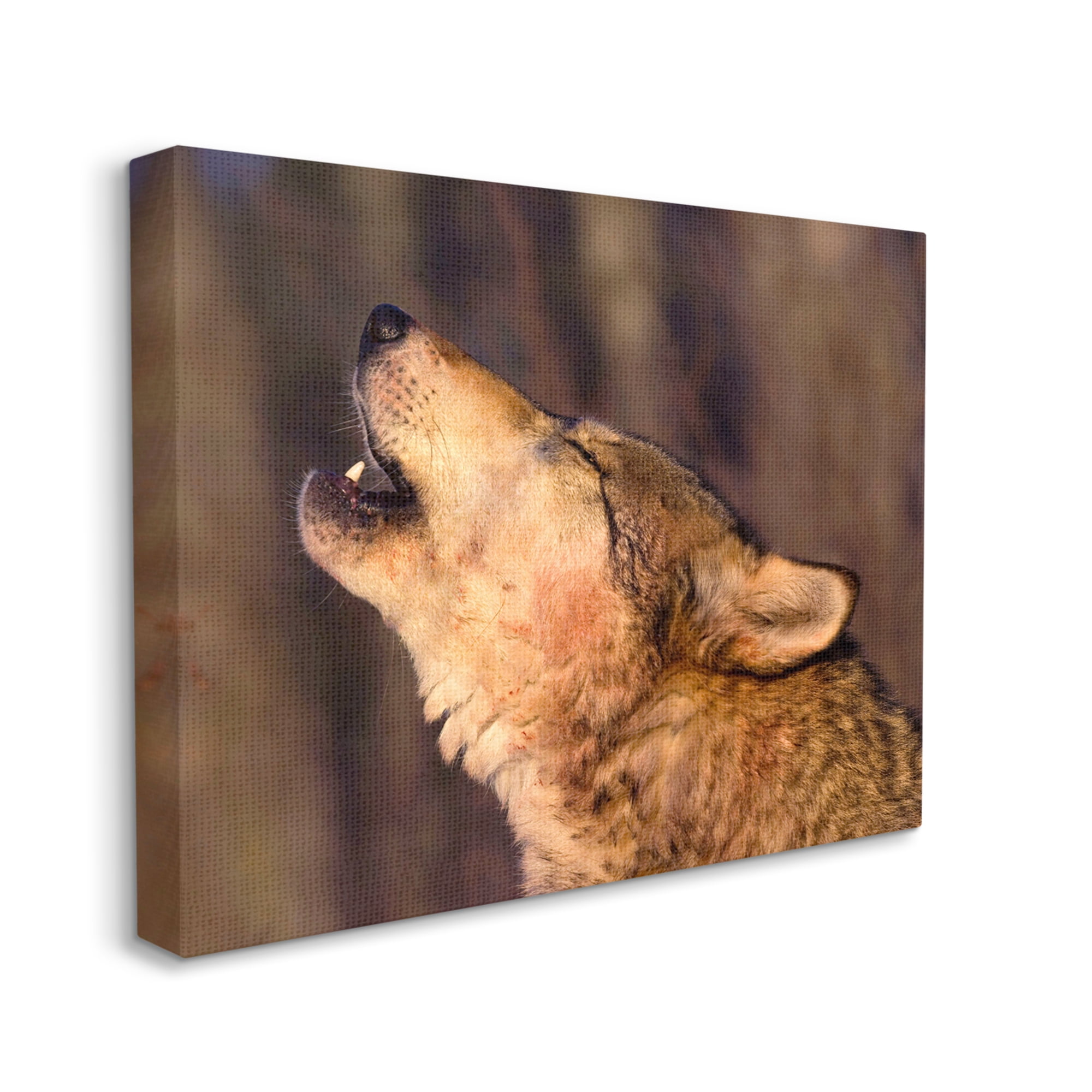 Stupell Industries Howling Wolf Photography Animals & Insects Photography Gallery Wrapped Canvas Print Wall Art, 40 x 30