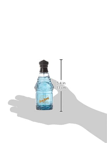 blue jeans gianni versace